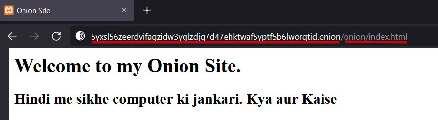 खुद की Onion वेबसाइट कैसे बनाएं | Step 11 in Hindi